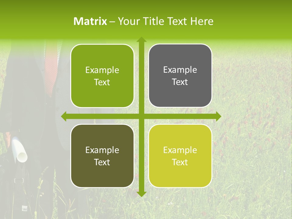 A Businessman In Grass. PowerPoint Template