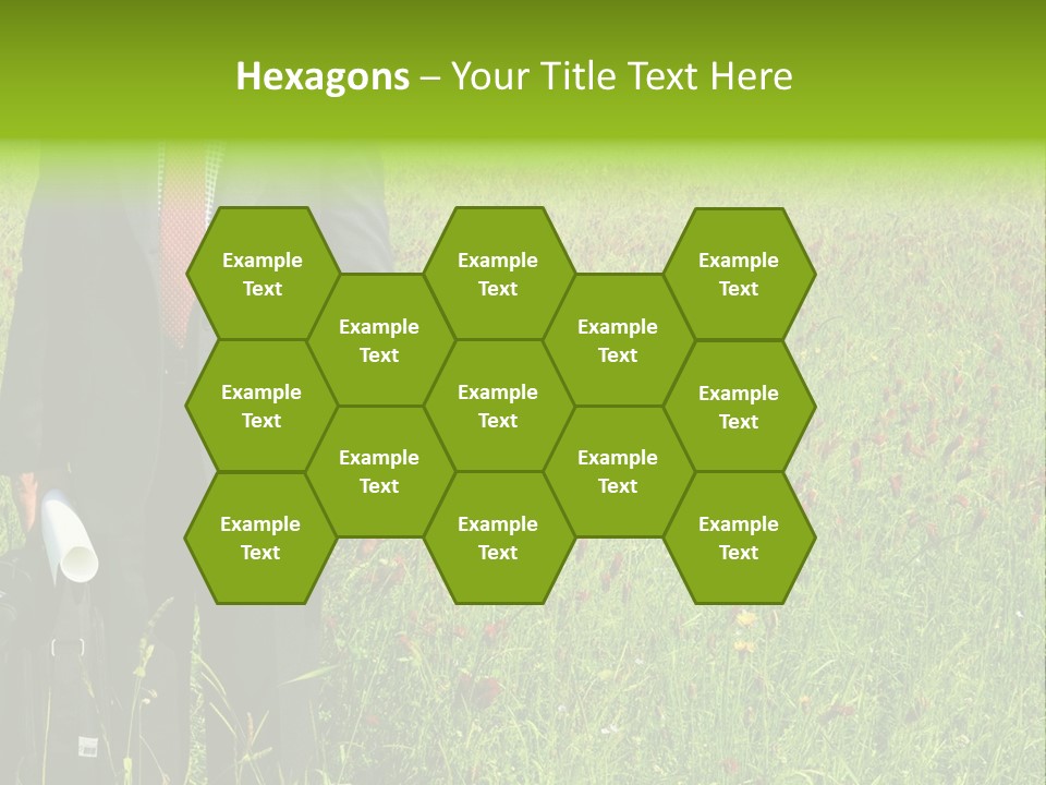 A Businessman In Grass. PowerPoint Template