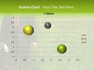A Businessman In Grass. PowerPoint Template