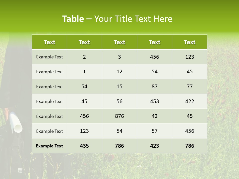A Businessman In Grass. PowerPoint Template