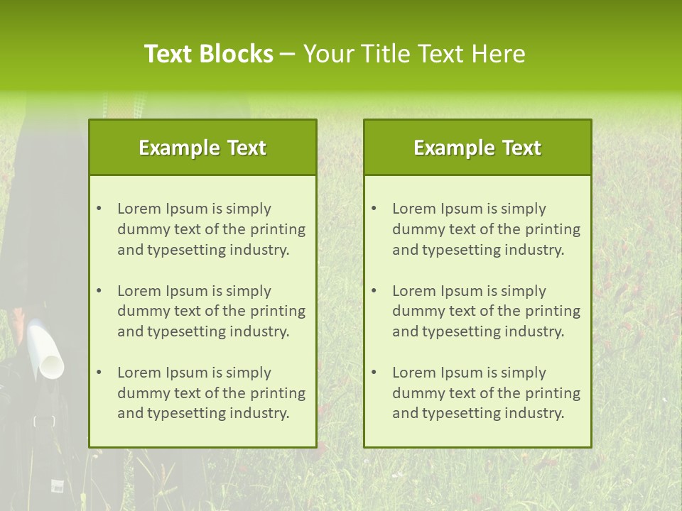 A Businessman In Grass. PowerPoint Template