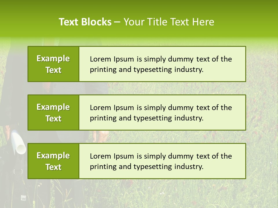 A Businessman In Grass. PowerPoint Template