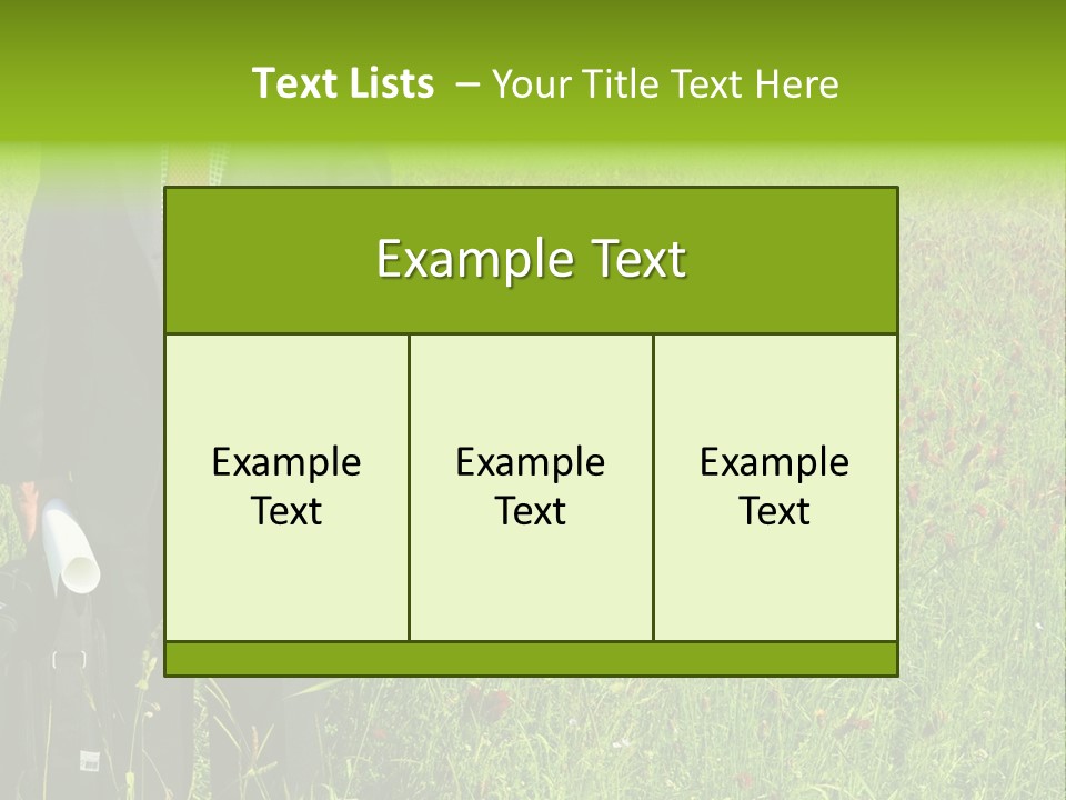 A Businessman In Grass. PowerPoint Template