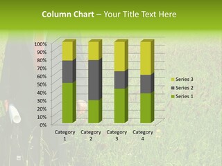 A Businessman In Grass. PowerPoint Template