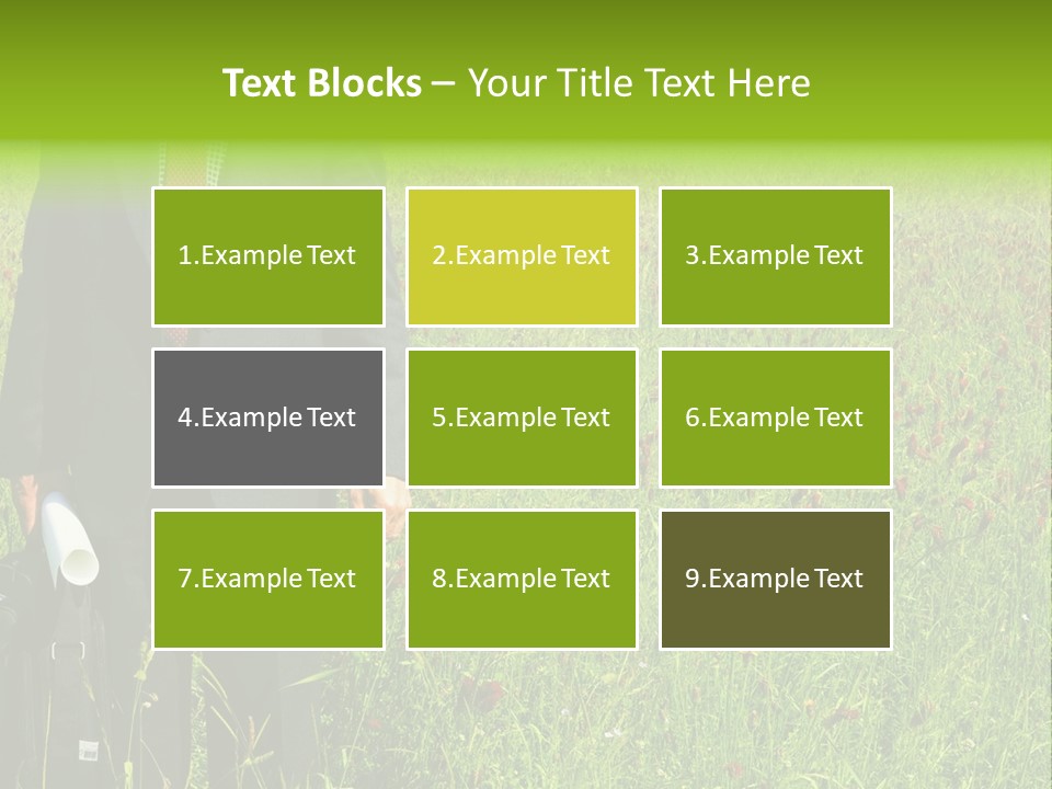 A Businessman In Grass. PowerPoint Template