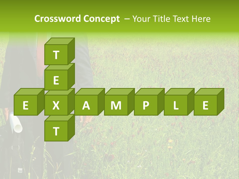 A Businessman In Grass. PowerPoint Template