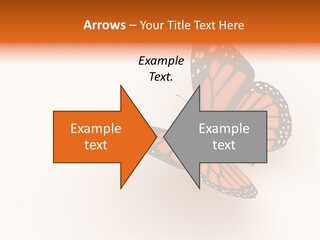 Shopping Hall #4. Motion Blur PowerPoint Template