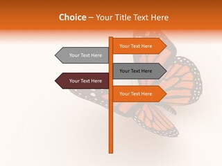 Shopping Hall #4. Motion Blur PowerPoint Template