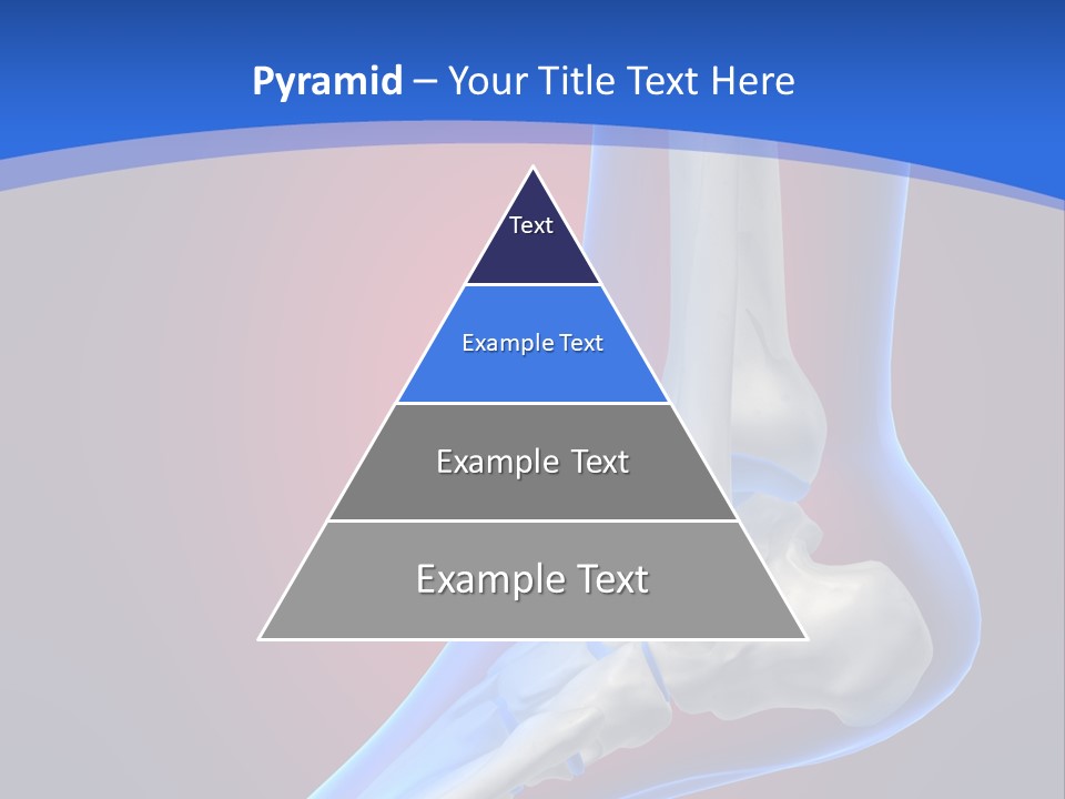 A Medical Powerpoint Presentation With A Skeleton PowerPoint Template