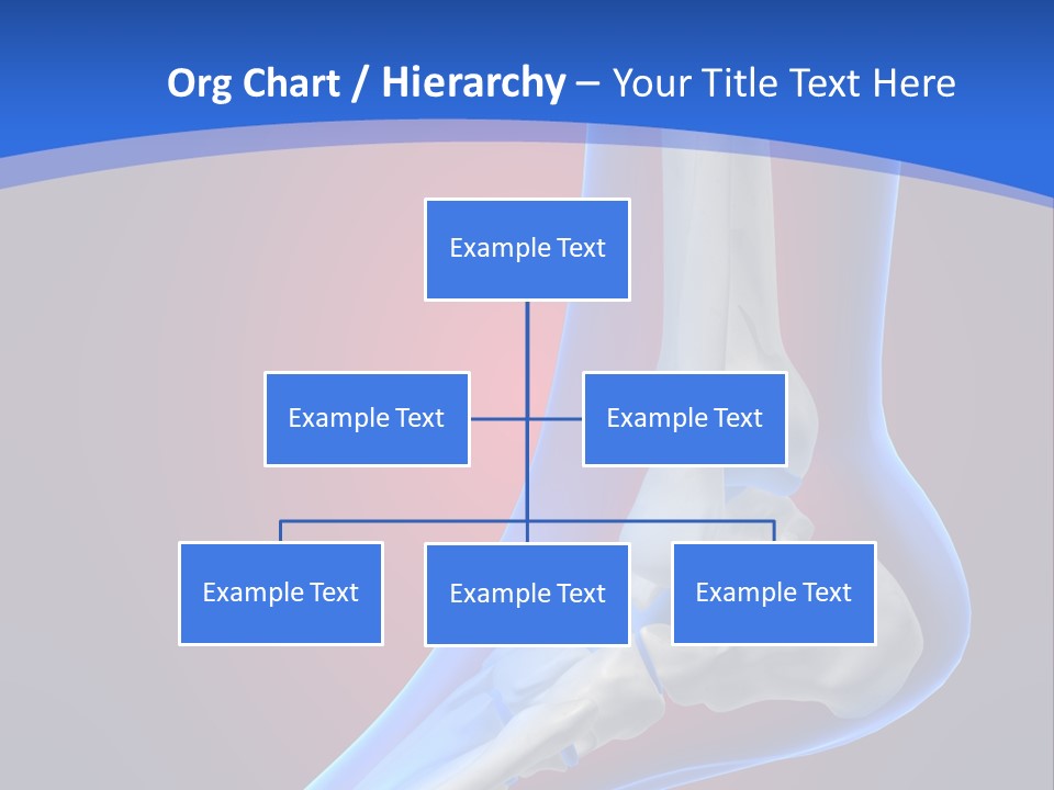 A Medical Powerpoint Presentation With A Skeleton PowerPoint Template