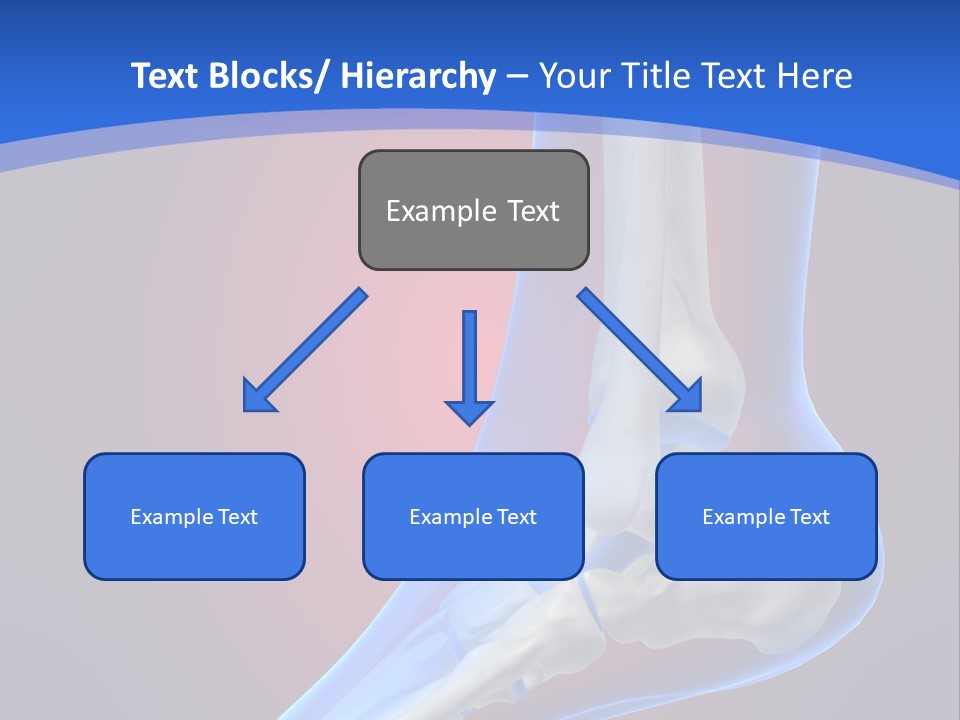 A Medical Powerpoint Presentation With A Skeleton PowerPoint Template