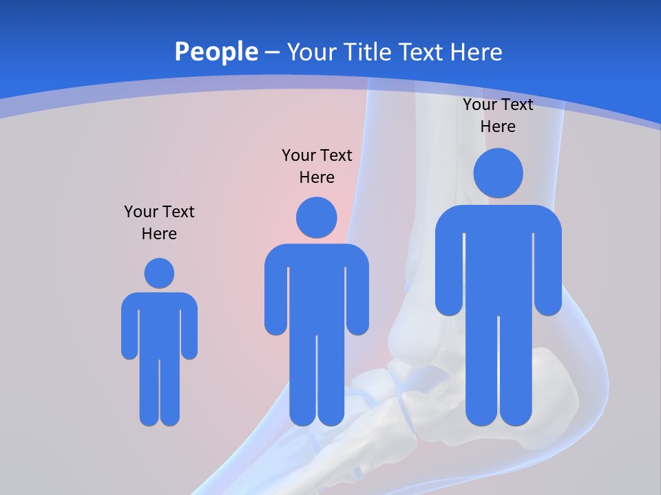 A Medical Powerpoint Presentation With A Skeleton PowerPoint Template