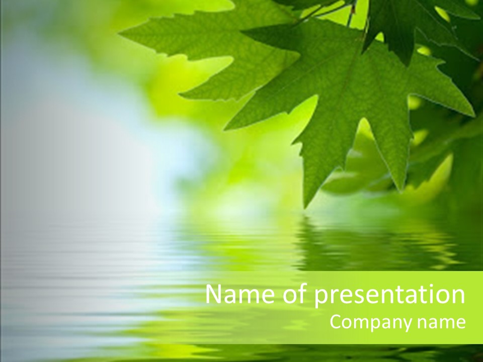 Green Leaves Reflecting In The Water, Shallow Focus PowerPoint Template
