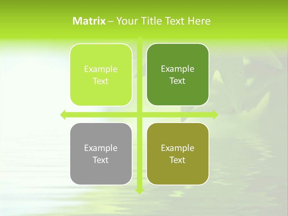 Green Leaves Reflecting In The Water, Shallow Focus PowerPoint Template