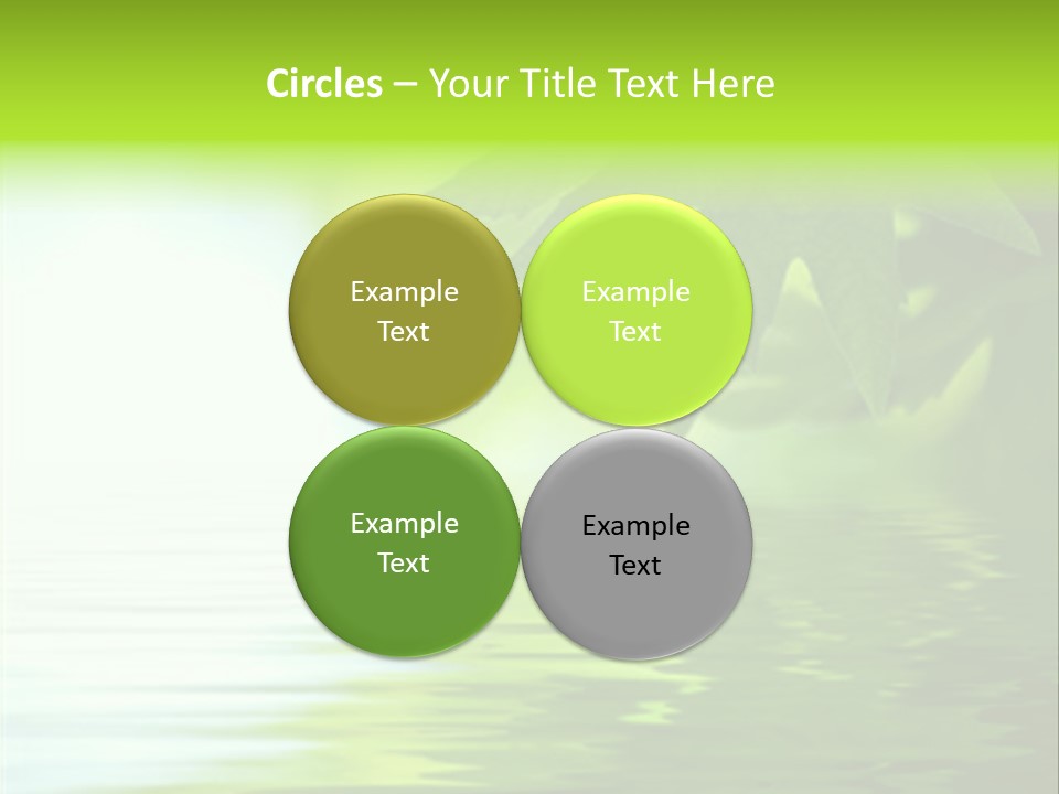 Green Leaves Reflecting In The Water, Shallow Focus PowerPoint Template