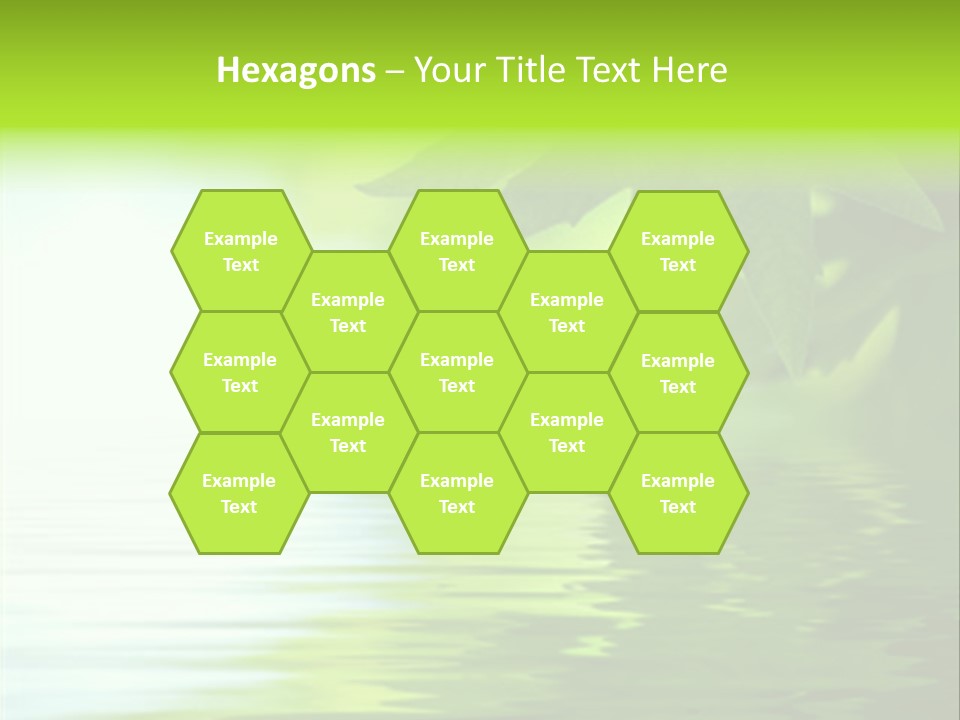 Green Leaves Reflecting In The Water, Shallow Focus PowerPoint Template