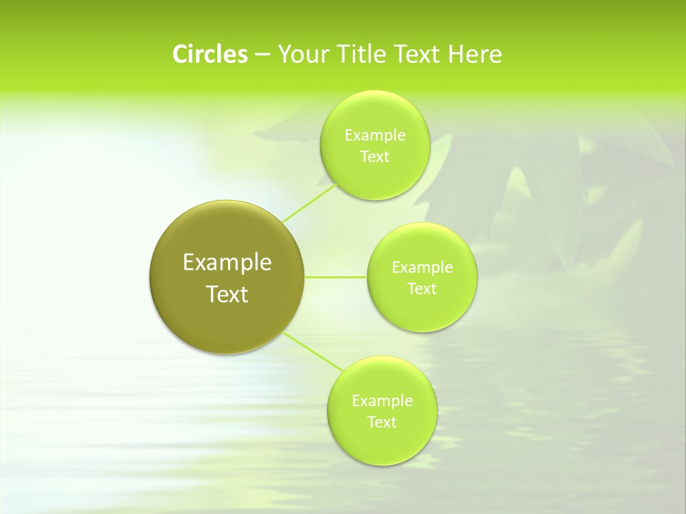 Green Leaves Reflecting In The Water, Shallow Focus PowerPoint Template