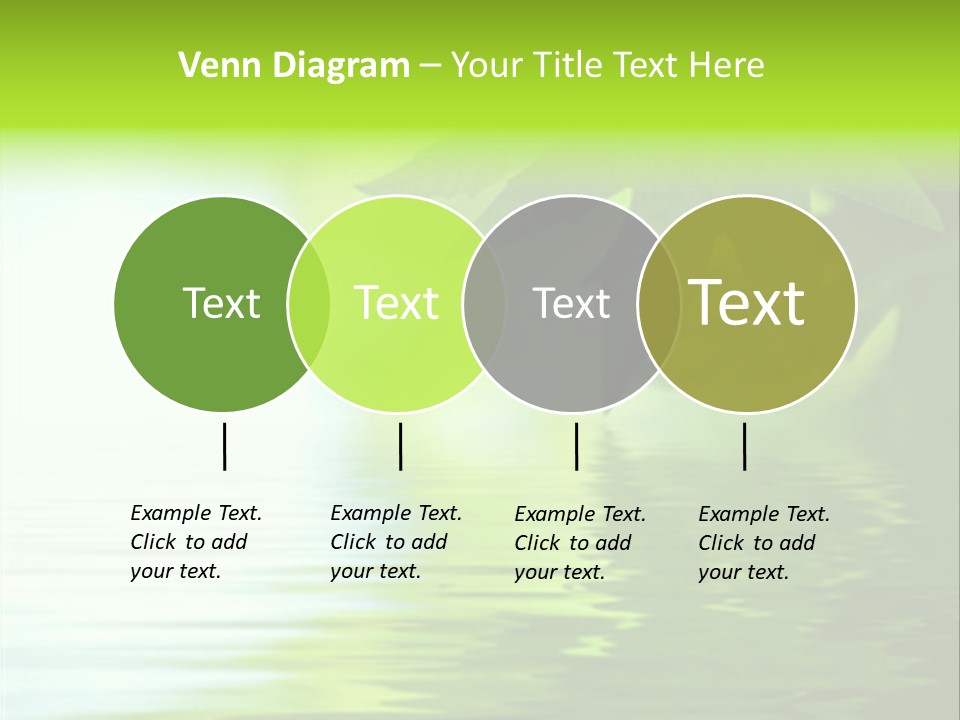 Green Leaves Reflecting In The Water, Shallow Focus PowerPoint Template