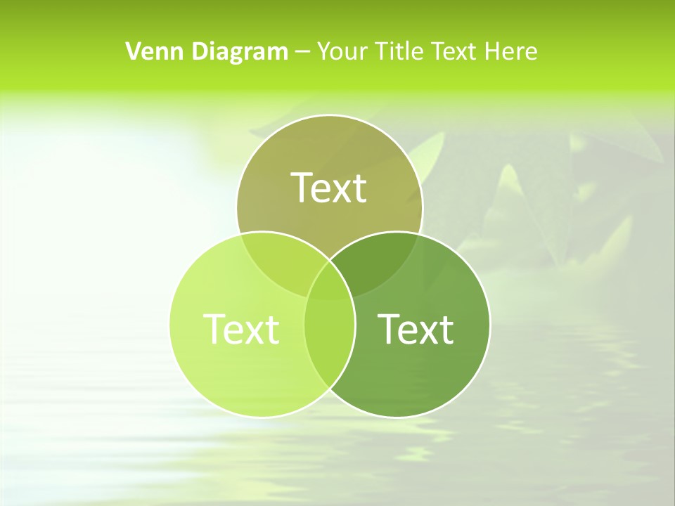 Green Leaves Reflecting In The Water, Shallow Focus PowerPoint Template