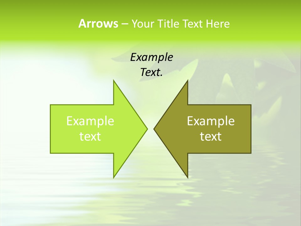 Green Leaves Reflecting In The Water, Shallow Focus PowerPoint Template