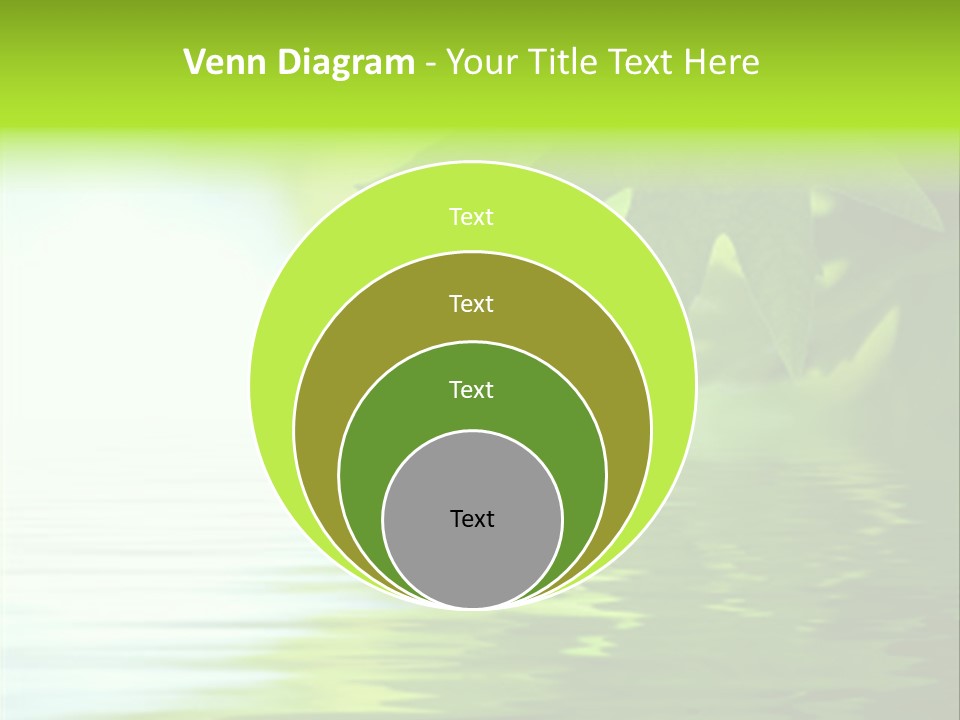 Green Leaves Reflecting In The Water, Shallow Focus PowerPoint Template