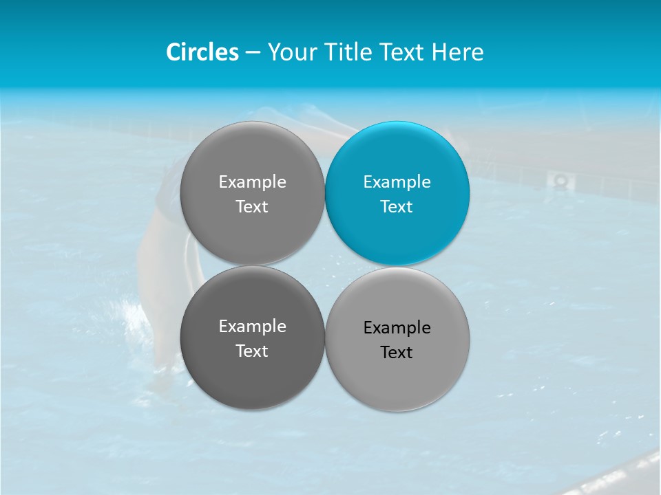 Young Boy Diving Head First Into A Swimming Pool With Head In The Water And Feet Still In The Air PowerPoint Template