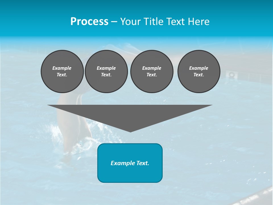 Young Boy Diving Head First Into A Swimming Pool With Head In The Water And Feet Still In The Air PowerPoint Template