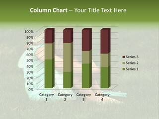 A Pouty Child In A Field. PowerPoint Template