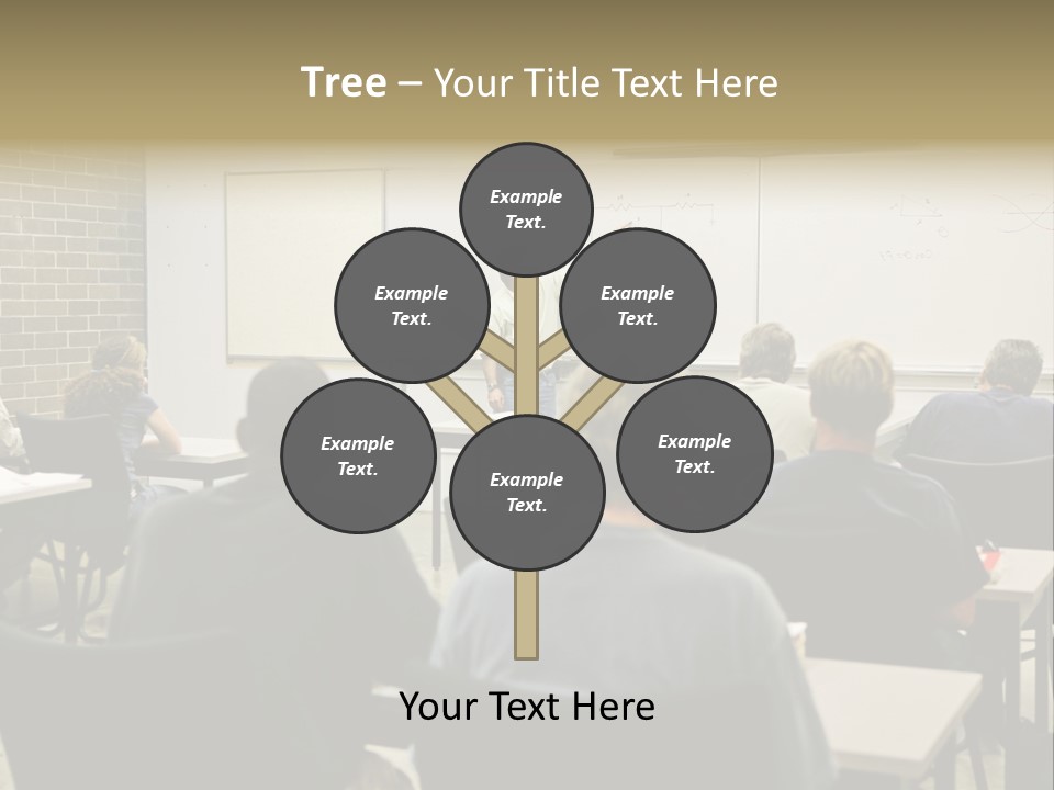 An  Education Teacher Pointing To An Electrical Circuit On The Board. Focus On The Diagram Of The Circuit. PowerPoint Template