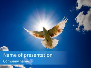 Dove In The Air With Wings Wide Open In-Front Of The Sun PowerPoint Template