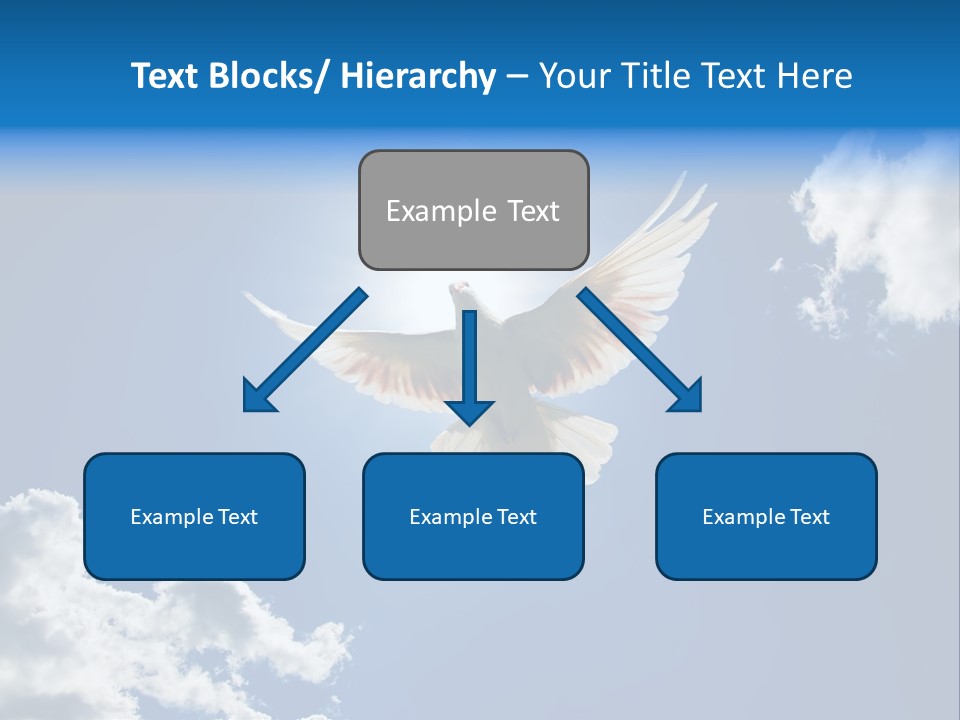 Dove In The Air With Wings Wide Open In-Front Of The Sun PowerPoint Template
