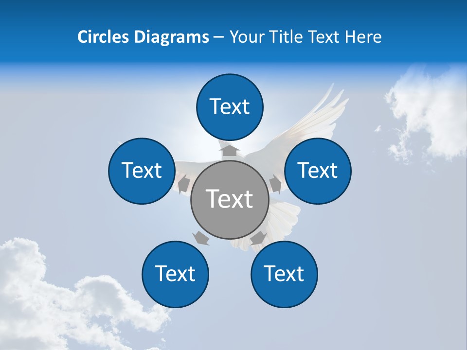 Dove In The Air With Wings Wide Open In-Front Of The Sun PowerPoint Template
