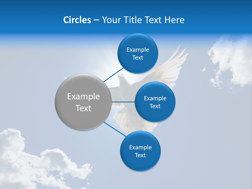 Dove In The Air With Wings Wide Open In-Front Of The Sun PowerPoint Template