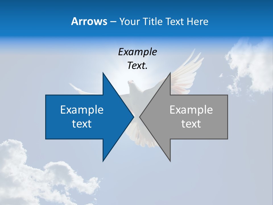 Dove In The Air With Wings Wide Open In-Front Of The Sun PowerPoint Template