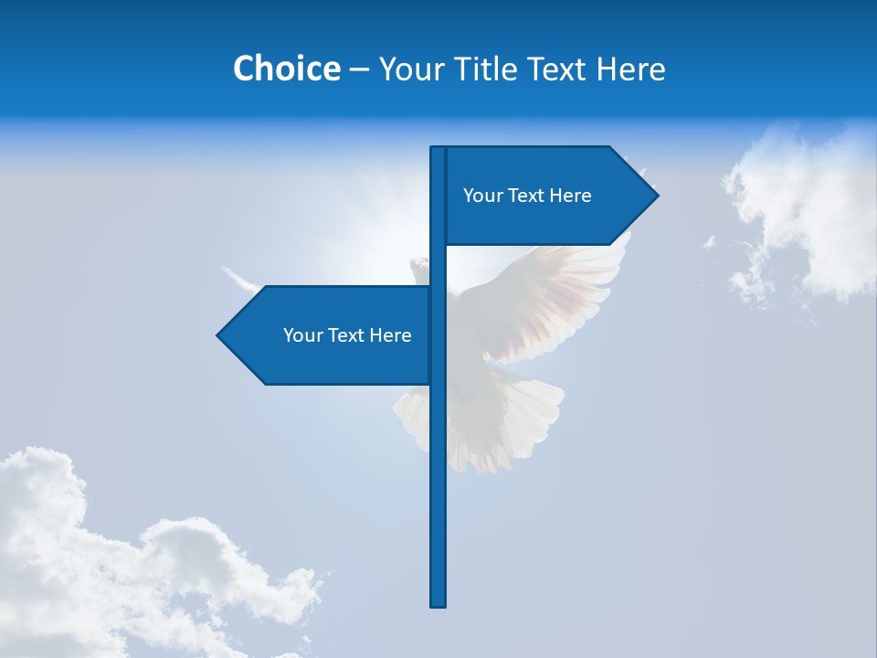 Dove In The Air With Wings Wide Open In-Front Of The Sun PowerPoint Template