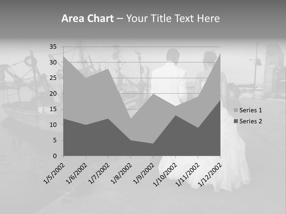 Couple Groom And The Bride In Fishing To Port PowerPoint Template