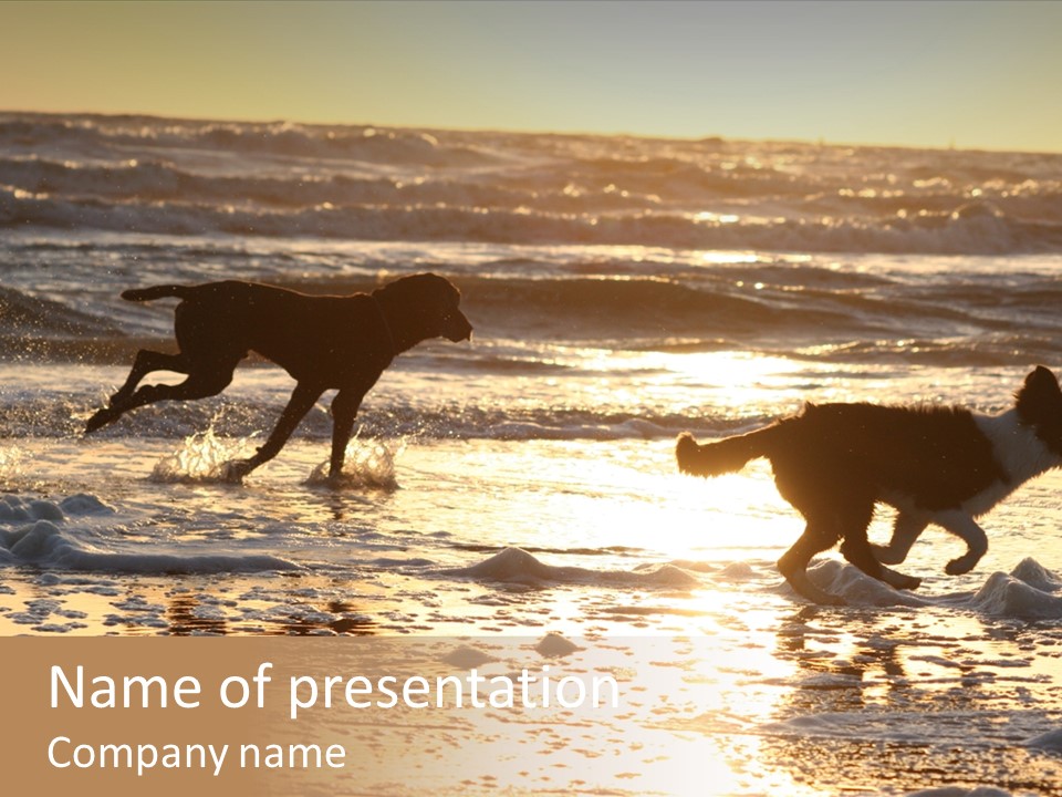 Running Dogs PowerPoint Template