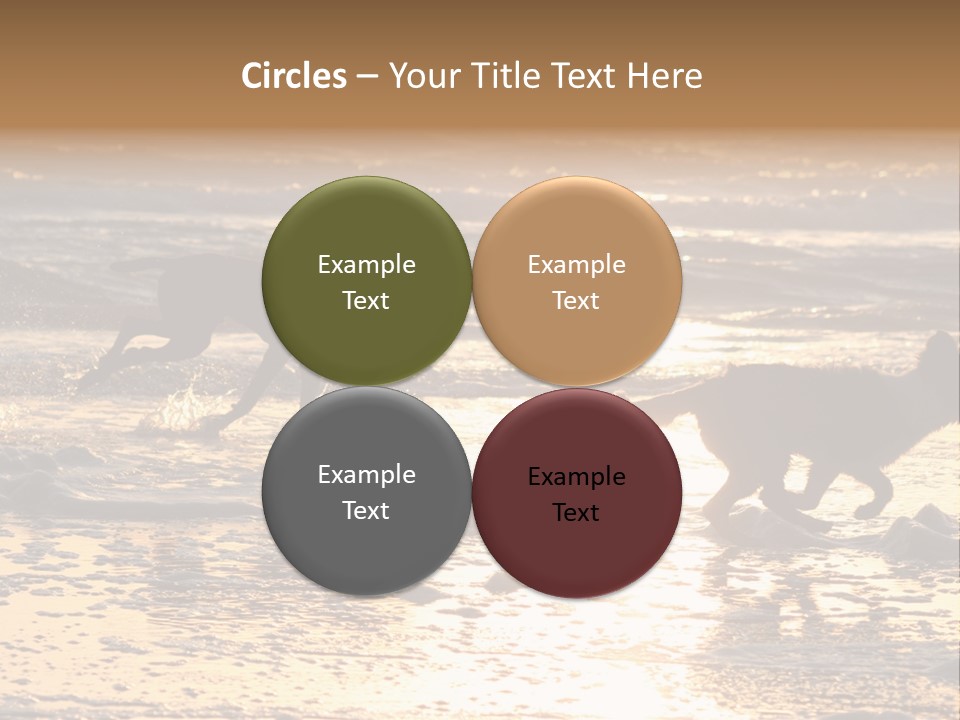 Running Dogs PowerPoint Template