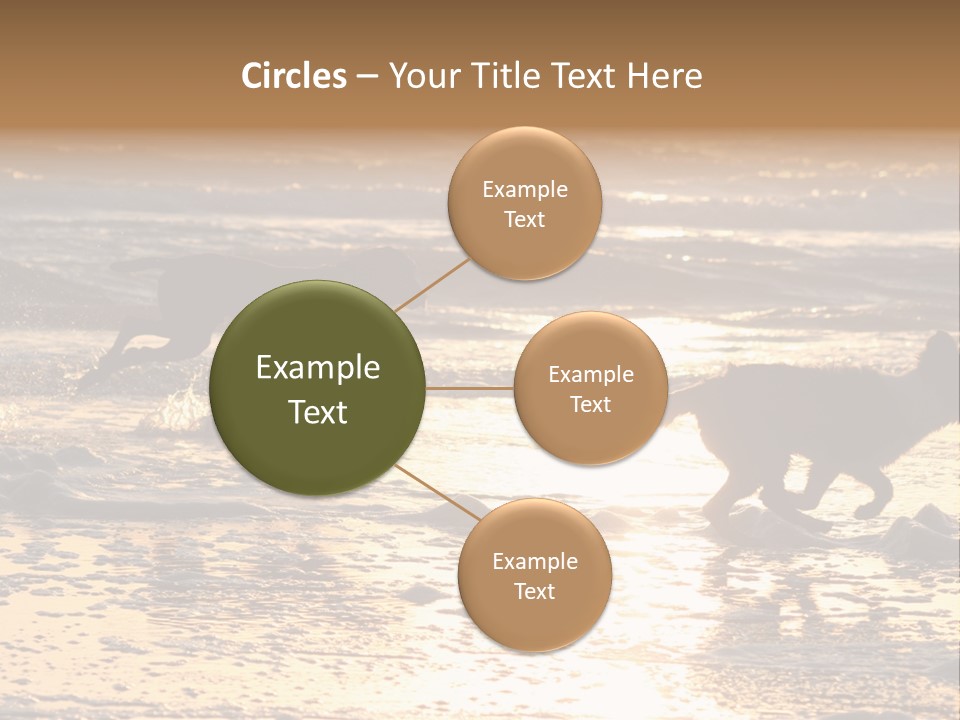 Running Dogs PowerPoint Template