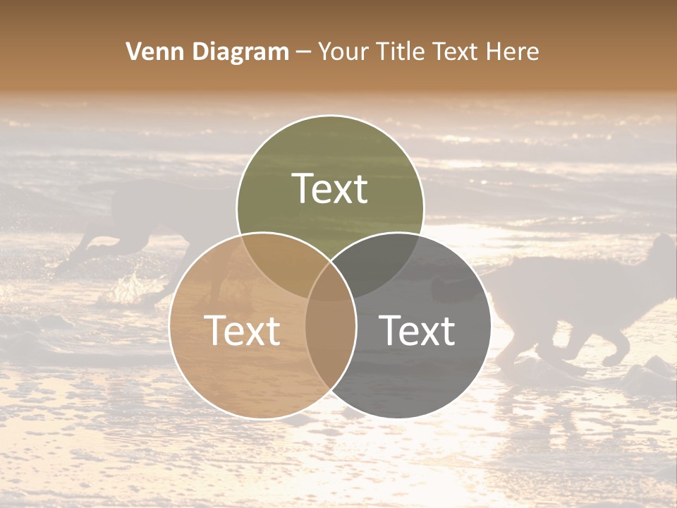 Running Dogs PowerPoint Template