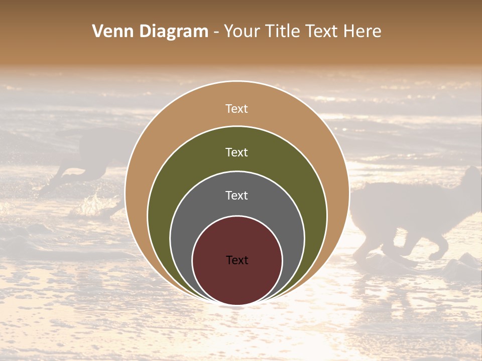 Running Dogs PowerPoint Template