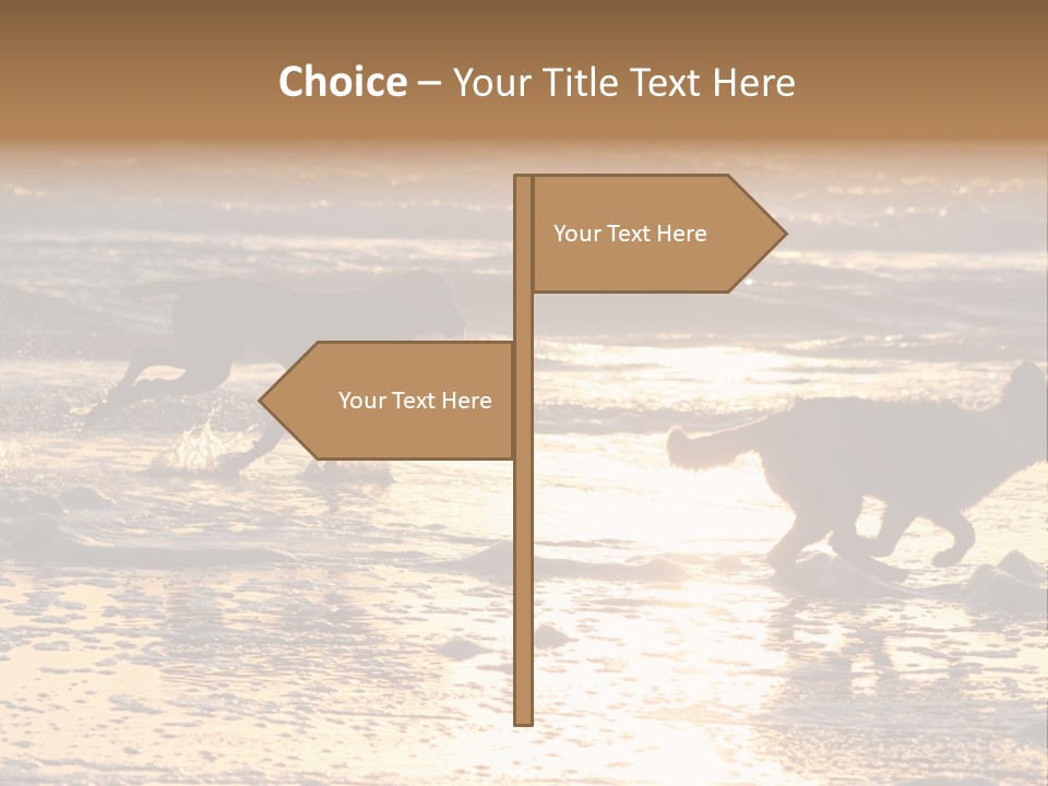 Running Dogs PowerPoint Template
