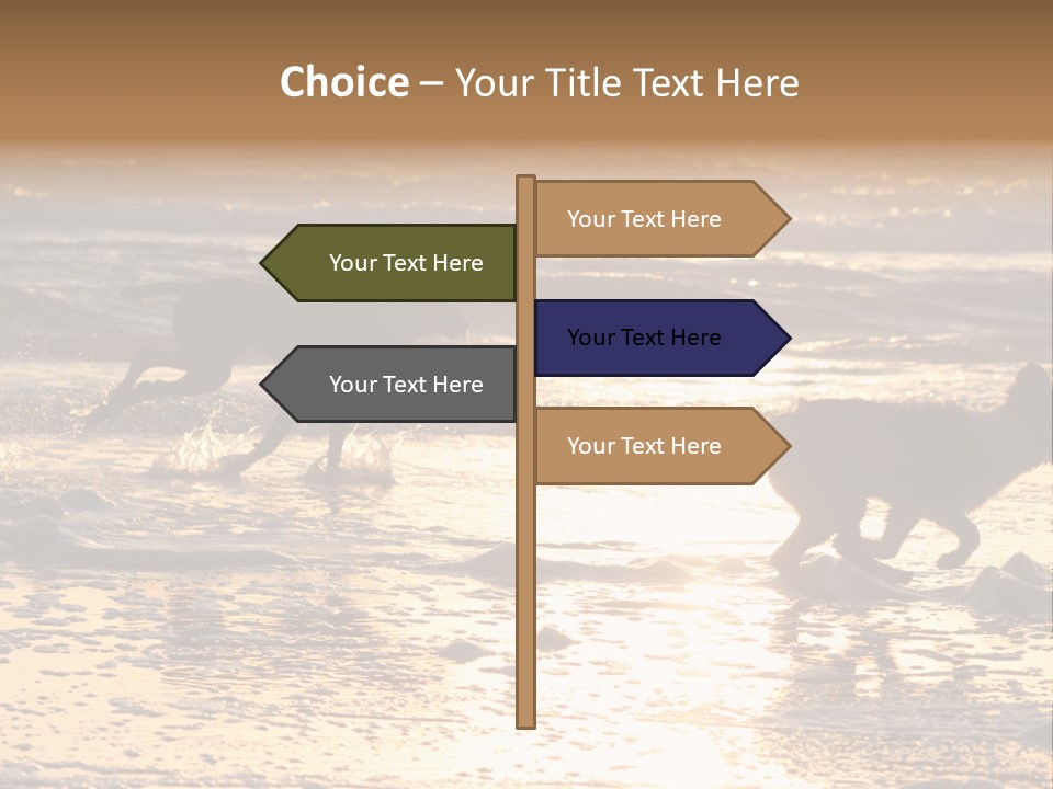 Running Dogs PowerPoint Template