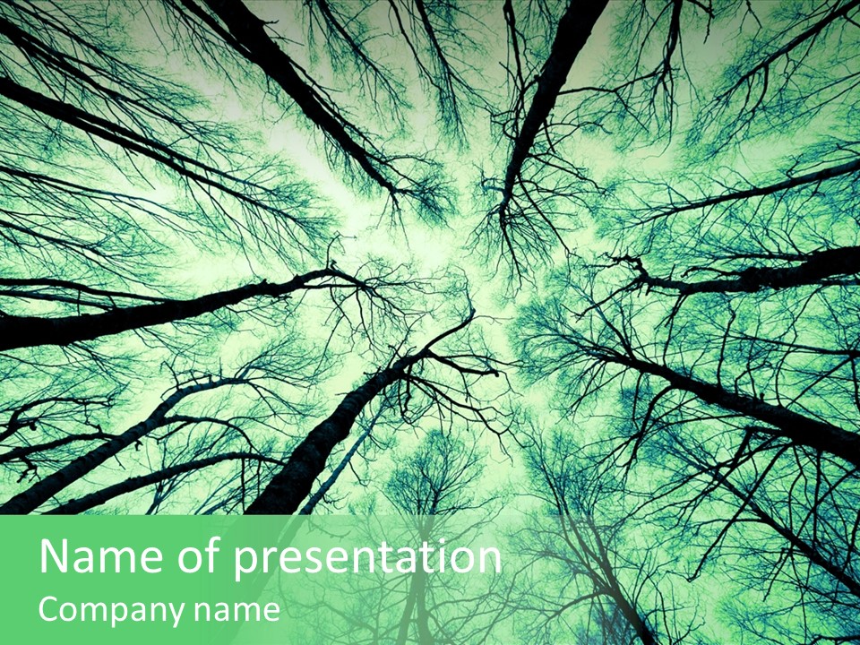 Looking Up At The Sky PowerPoint Template