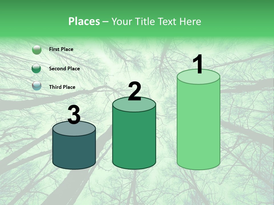 Looking Up At The Sky PowerPoint Template