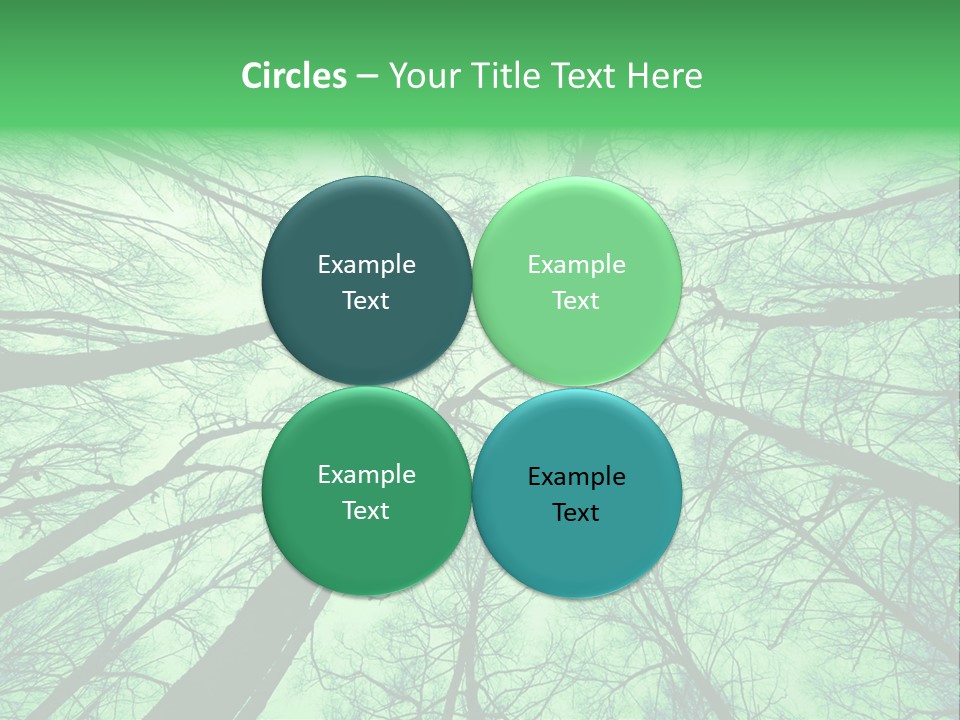 Looking Up At The Sky PowerPoint Template