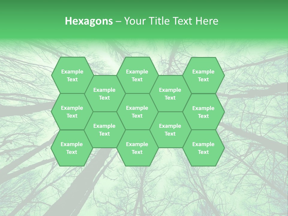 Looking Up At The Sky PowerPoint Template