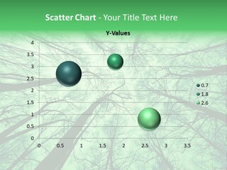 Looking Up At The Sky PowerPoint Template