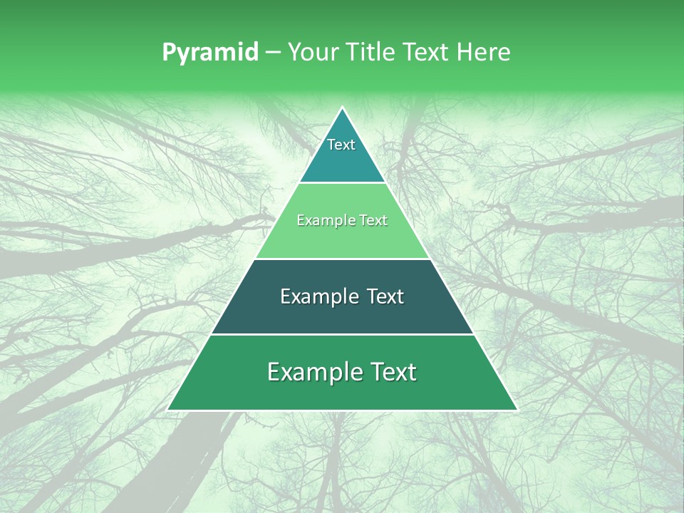 Looking Up At The Sky PowerPoint Template