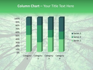 Looking Up At The Sky PowerPoint Template